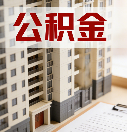 陇南公积金代办行业新生态：从“跑腿中介”到“生活管家”的进化之路