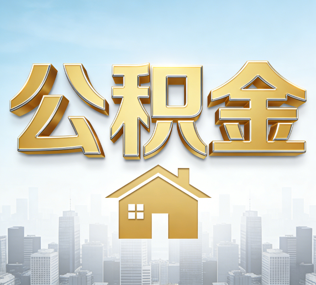 陇南从“跑腿办事”到“全周期管家”